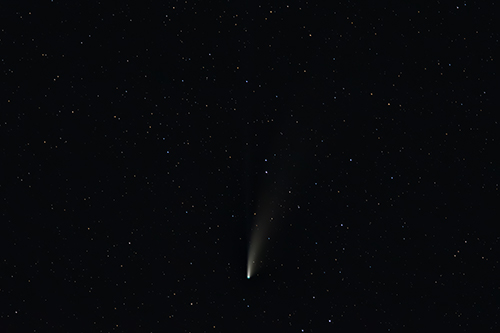 C/2020 F3 Comet Neowise Â© 2020 by Tobias Wittmann Â· wittinobi