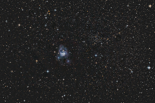 NGC7129 und NGC7142 Â© 2021 by Tobias Wittmann Â· wittinobi