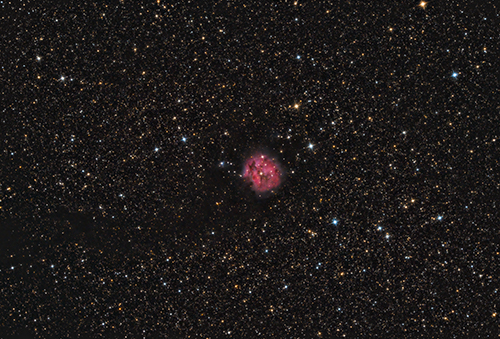 IC5146 Cocoon-Nebula Â© 2021 by Tobias Wittmann Â· wittinobi
