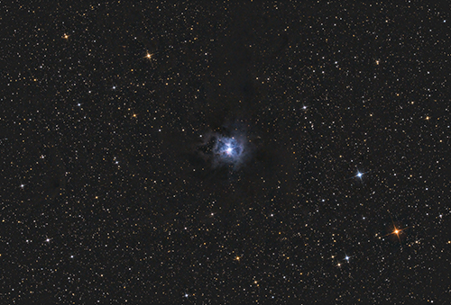 NGC7023 Iris-Nebula Â© 2021 by Tobias Wittmann Â· wittinobi