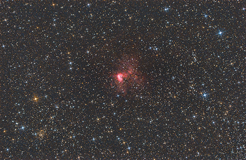 NGC1491 Â© 2021 by Tobias Wittmann Â· wittinobi