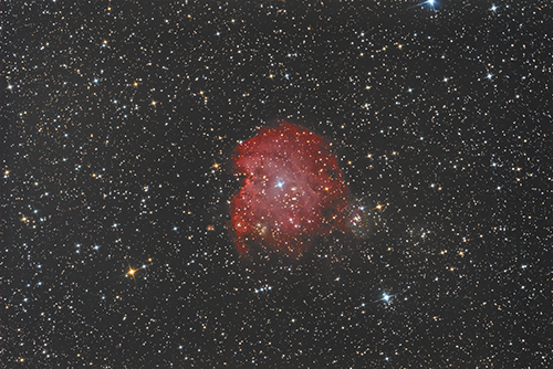 NGC2174 Â© 2022 by Tobias Wittmann Â· wittinobi