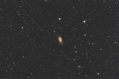 NGC2903 Â© 2022 by Tobias Wittmann Â· wittinobi